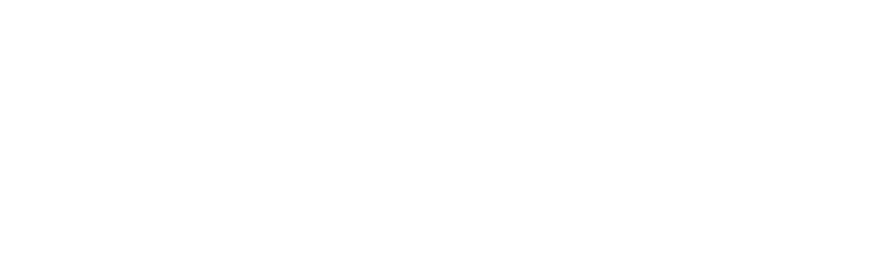 ICM - Paris Brain Institute